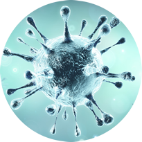 Coronavirus